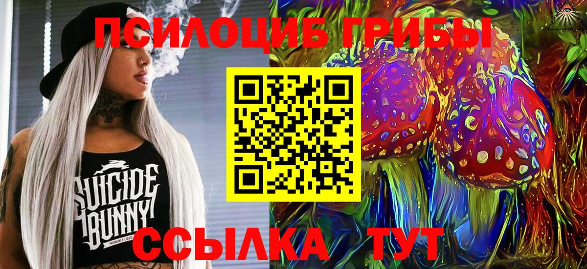 Камень-на-Оби  Псилоцибиновые грибы Cubensis  Вход с VPN 